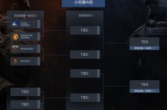 VCT 官方宣布新增两个合作者席位，2025年生效